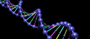 DNA Sample Analysis